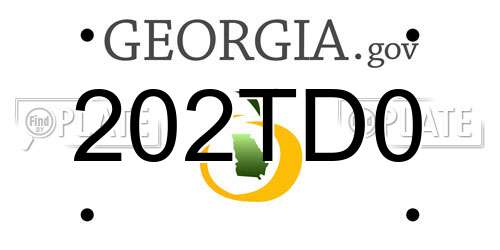 202TD0 Georgia License Plate