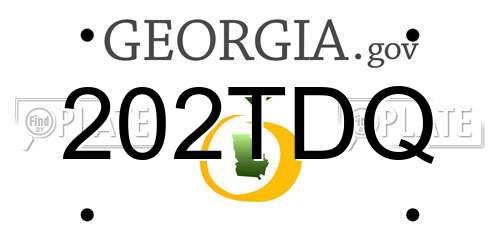 202TDQ Georgia License Plate