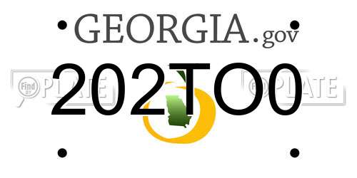 202TO0 Georgia License Plate