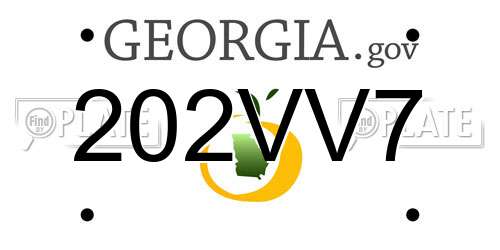 202VV7 Georgia License Plate