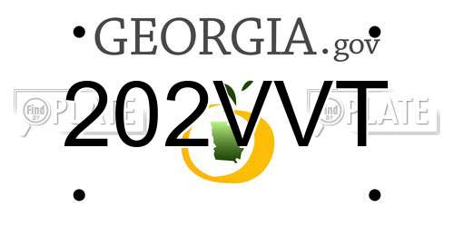 202VVT Georgia License Plate
