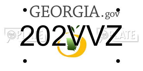 202VVZ Georgia License Plate