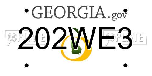 202WE3 Georgia License Plate