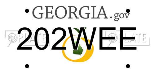 202WEE Georgia License Plate