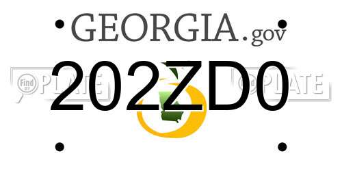 202ZD0 Georgia License Plate