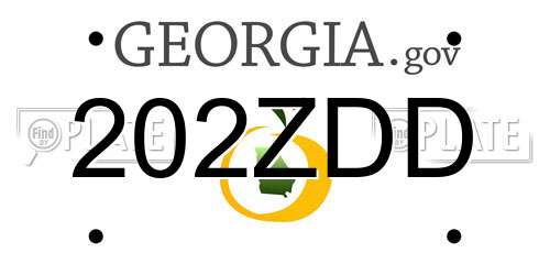 202ZDD Georgia License Plate