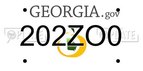 202ZO0 Georgia License Plate