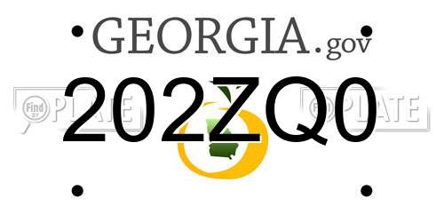 202ZQ0 Georgia License Plate