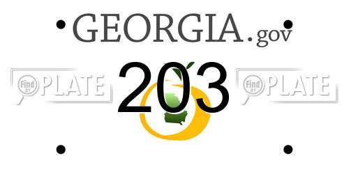 203 Georgia License Plate