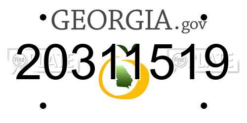 20311519 Georgia License Plate