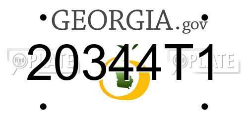 20344T1 Georgia License Plate