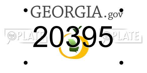 20395 Georgia License Plate