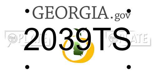 2039TS Georgia License Plate