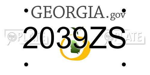 2039ZS Georgia License Plate