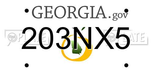 203NX5 Georgia License Plate