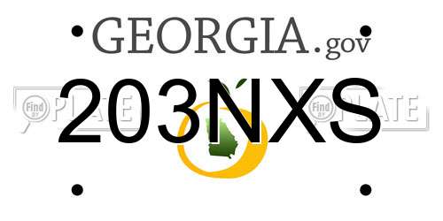 203NXS Georgia License Plate