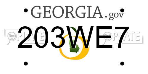 203WE7 Georgia License Plate