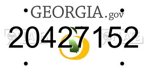 20427152 Georgia License Plate
