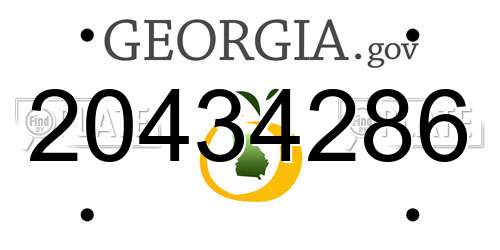 20434286 Georgia License Plate