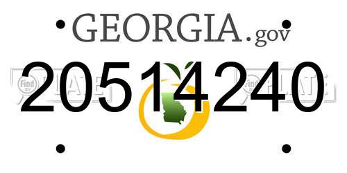 20514240 Georgia License Plate