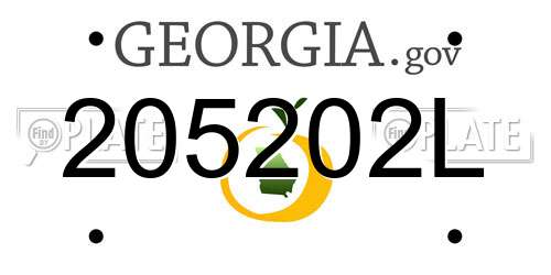 205202L Georgia License Plate