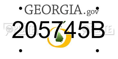 205745B Georgia License Plate