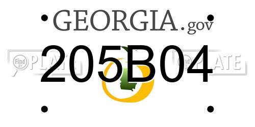 205B04 Georgia License Plate