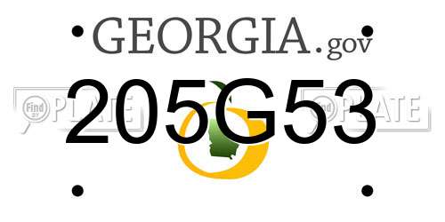 205G53 Georgia License Plate