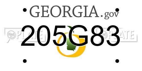 205G83 Georgia License Plate