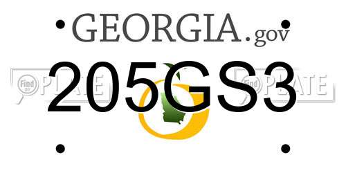 205GS3 Georgia License Plate