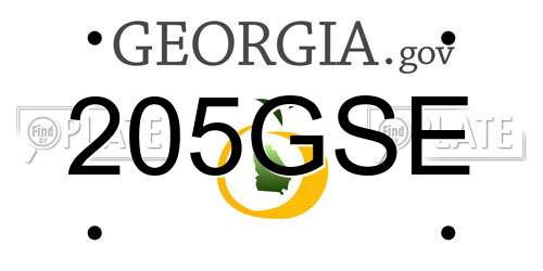 205GSE Georgia License Plate