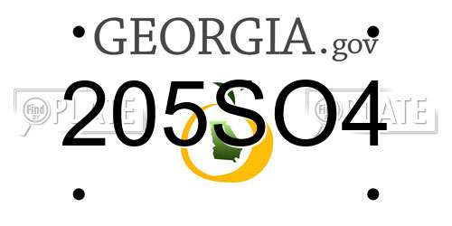 205SO4 Georgia License Plate