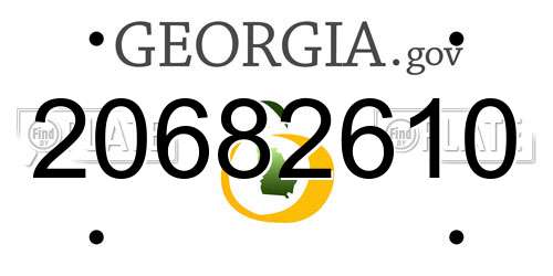 20682610 Georgia License Plate