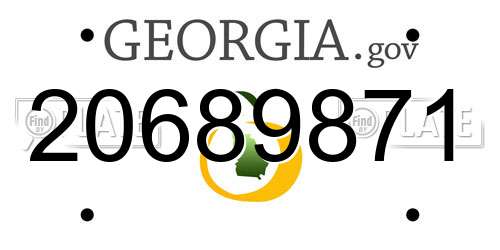20689871 Georgia License Plate