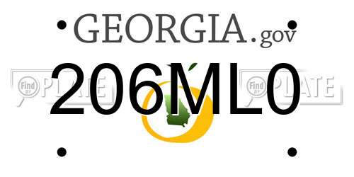 206ML0 Georgia License Plate