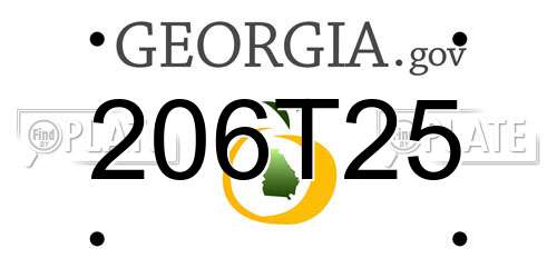206T25 Georgia License Plate