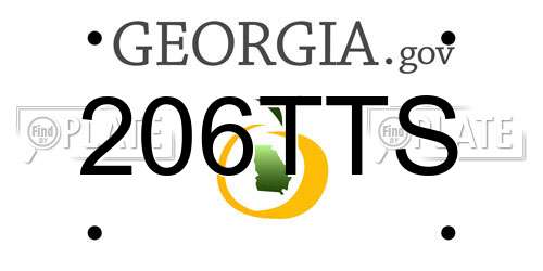 206TTS Georgia License Plate