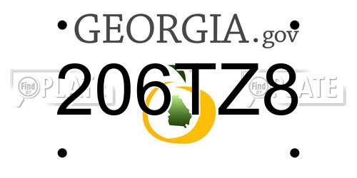 206TZ8 Georgia License Plate