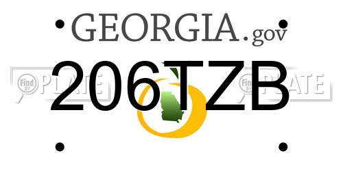 206TZB Georgia License Plate