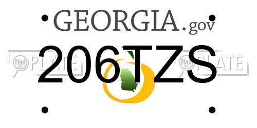 206TZS Georgia License Plate