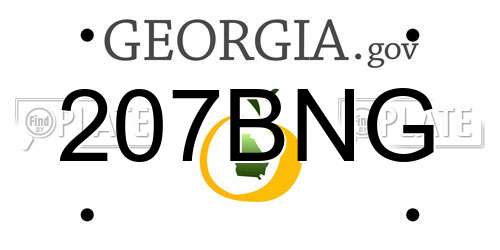 207BNG Georgia License Plate