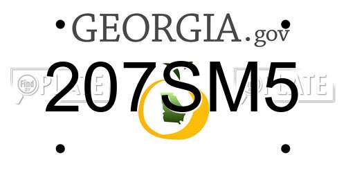 207SM5 Georgia License Plate