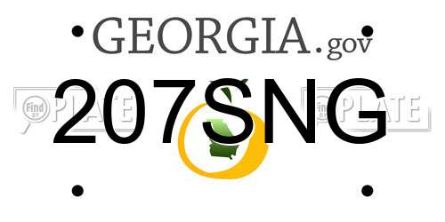 207SNG Georgia License Plate