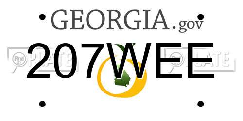 207WEE Georgia License Plate