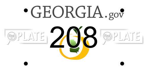 208 Georgia License Plate