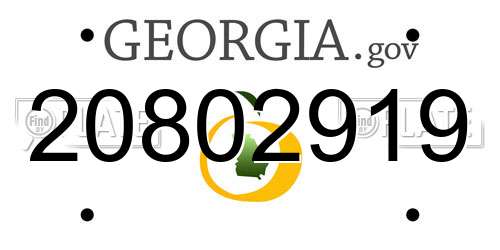 20802919 Georgia License Plate