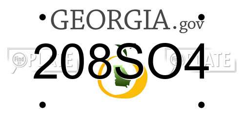 208SO4 Georgia License Plate