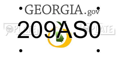 209AS0 Georgia License Plate