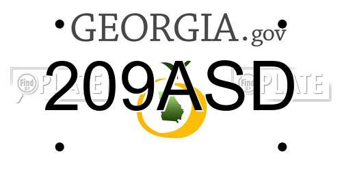209ASD Georgia License Plate