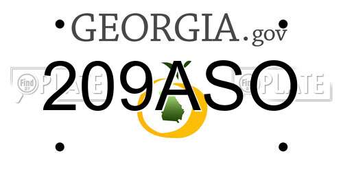 209ASO Georgia License Plate